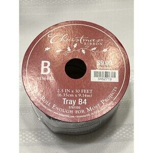 10 Yd Spool 2 1/2” Wide Silver Mesh & Satin Wired Edge Ribbon
